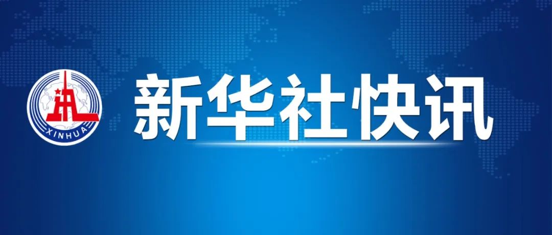 云维集团重整最新动态全面解析