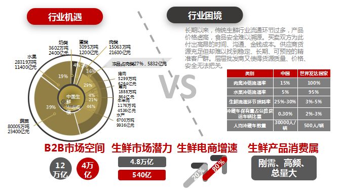 王中王72396网站,高速响应计划实施_经典款68.360